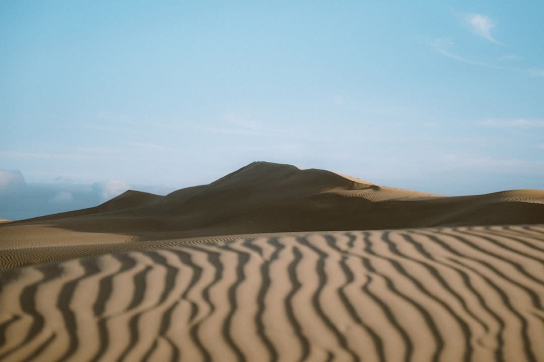漳浦:告别排长龙 “潮汐窗口”高效灵活